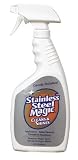 MAGIC AMERICAN CORP/HOMAX SS22 22OZ SS Magic Spray (6 pack)