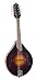 The Loar LM-220-VS Hand-Carved All Solid A Model Mandolin