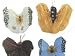 Accent Design Floral and Garden Accents Butterfly 1 1/4 small 4 pc Assorted Colors