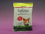 Gimborn Cat Grass
