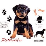 Rottweiler Adult T-Shirt
