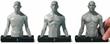 Artist Busts: Flesh Torso Set