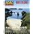 ADAC Reisemagazin 86. Bretagne. Wilde K�ste