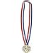 Award Medal Necklace