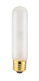 40-watt T10 incandescent bulb