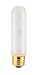40-watt T10 incandescent bulb