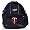 Minnesota Twins