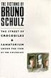 The Fictions (Picador Books)