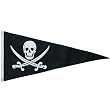 12 X 36 CALICO JACK PENNANT