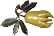 Chinese jade Buddha's Hand fruit - hand carved