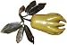 Chinese jade Buddha's Hand fruit - hand carved