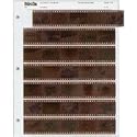 Printfile 35MM Negatives 7 Strips 5 Frames Sheets 100-pack - Printfile 357B100