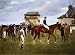 Art Poster Print - Sir Horace Farquhar's Chestnut Colt 'Nouveau Riche' In The Winner'...