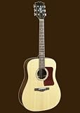Sierra SD33 Acoustic Guitar Set-Sequoia Series