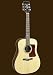 Sierra SD33 Acoustic Guitar Set-Sequoia Series