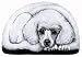 White Poodle - Pupper Weights