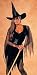 Sexy Witch Costumes Adult Halloween Costumes