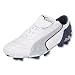 Sporting Goods : Puma v-Kat II GCi FG (Wh/Sv/Nv)
