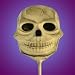 Skull Lolly