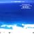 VOICE OF THE EARTH ���c�� ���R���V���[�Y�fISLAND�f~�ۓ��̓��n���C~