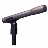 Audio Technica ATM10a Artist Series Fixed-Charge Condenser Microphone