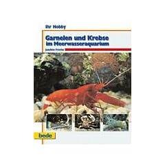 Garnelen und Krebse im Meerwasseraquarium, Ihr Hobby