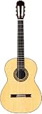 Takamine TH8SS Hirade Concert Classical Acoustic Guitar