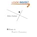 Essays in Positive Economics (Phoenix Books)