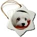 Maltese - 3 Inch Snowflake Porcelain Ornament