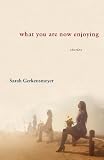 What You Are Now Enjoying: Stories