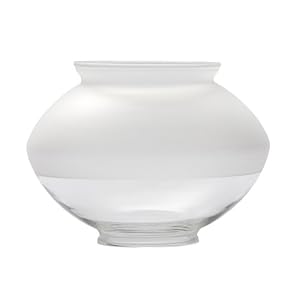 Mr. Heater F220330 Half-Frosted Pyrex Globe for Indoor Propane Gaslights