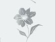 spirella 10.11542 Delice silver 180 x 200 cm