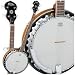 Musical Instruments : Washburn Banjo 5 String