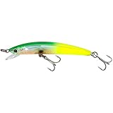 Yo-Zuri Crystal 3D Minnow Floating Lure
