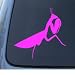 PRAYING MANTIS - Insect Bug - Car, Truck, Notebook, Vinyl Decal Sticker #1180 | Vinyl...