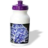 WhiteOak Photography Inspirational Floral Prints - Live Laugh Love Blue Hydrangeas with Rain Drops - Water Bottles