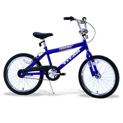 SportingGoods: Titan Tomcat Boys’ BMX Bike 20