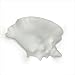Key West One Light Wall Sconce Finish: Milk Chocolate Acrylic, Bulb Type: Incandescent, Wet Location Single Socket: Yes