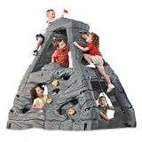 Baby : Step2 Skyward Summit Climber