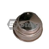 Gas Cap BRIGGS 493982S
