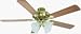Westinhouse Ceiling Fans 78079 52" Ceiling Fan with Light