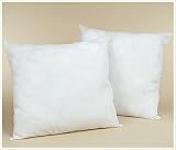 Set of Two Feather/Down EURO Pillow Form Cushion