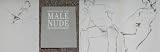 Drawings of the Male Nude