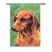 dachshund42 - Dachshund banner