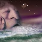 Click here to buy Night in the Vapor Jungle by  John Flomer .
