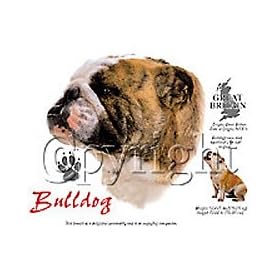 Bulldog Adult Long Sleeve T-Shirt