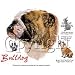 

Bulldog Adult Sweatshirt