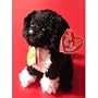 Ty Beanie Baby 2.0 Bo the White House Barack Obama Dog