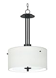 IMAGE OF Hunter 04592 Lighting Sanctuary Three Light Pendant