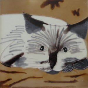 Himalayan Cat Decorative Ceramic Wall Art Tile 8x8